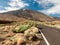 Amazing view from the highway on high volcano TEide and desert, Tenerife, Canary islands