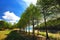 Amazing view of lake with bald cypress trees and blue sky