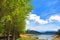 Amazing view of lake with bald cypress trees and blue sky