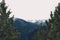 Amazing view of landscape of Andorra snowy winter mountains through pine trees