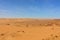 Amazing view of the large egyptian dune sea found all along the oasis route between Bahariya and Kharga