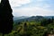 Amazing view of the lush green hills of Tuscany from within a local vineyard