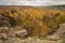 Amazing view over the top of Silver Birch forest with golden leaves in Autumn Fall landscape scene of Upper Padley gorge in Peak