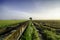 Amazing view paddy fields at morning. concrete water canal and single tree