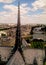 Amazing view of Paris from the roof of Notre Dame