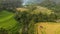 Amazing view with rice terraces, coconut palms and forest in Bali. Aerial video