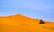 Amazing view of sand dunes in the Sahara Desert. Location: Sahara Desert, Merzouga, Morocco. Artistic picture. Beauty world