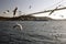 An amazing view of seagulls and the sea and the big tanker passing by the bosphorus of Istanbul