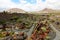 Amazing view on the tropical cactus garden Jardin de Cactus in Guatiza village, Lanzarote, Canary Islands