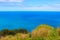 Amazing view of Tyrrhenian sea taken from Rocca di Cefalu, Sicily, Italy. Captured with green grass and plants from the rocks