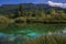Amazing view of Zelenci lake in Slovenia
