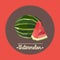 Amazing vintage fresh watermelon illustration