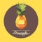 Amazing vintage polygon pineapple illustration