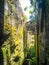 Amazing wall in Brazil, coverd of plants, mosses and lichens with beautiful light. Endless view and copy space