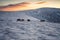 Amazing winter landscape with a herd of horses