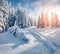 Amazing winter landscape of mountain valley. Splendid sunrise in Carpathian mountains.