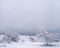 Amazing winter landscape with snow covered trees