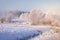 Amazing winter landscape. Trees and plants with hoarfrost on snowy meadow in clear morning. Christmas background