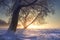 Amazing winter nature landscape in warm sunlight at sunset. Fog and frost. Snowy winter scene in sun light