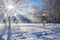 Amazing winter scenery with bare trees covered by frost on snowy meadow