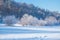 Amazing winter scenery with bare trees covered by frost on snowy meadow