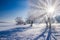 Amazing winter scenery with bare trees covered by frost on snowy meadow under blue sky