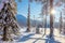 Amazing Winter Sunny Landscape Wallpaper