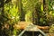 Amazon Basin, Boat on Sandoval Lake, Peru, South America