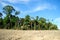 Amazon desflorestation