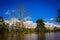 Amazon jungle, amazon river with sunshine and blue sky