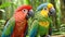 Amazon parrot jungle colorful bird pair