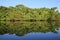 Amazon Rainforest with Blue Sky and Mirror Reflections in the Water