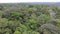 Amazon rainforest in Brazil and many shades of green