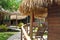 Amazon rainforest: Footpath along the Amazon River near Manaus, Brazil South America