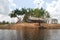 Amazon rainforest: Landscape along the shore of Amazon River near Manaus, Brazil South America