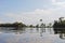 Amazon rainforest: Landscape along the shore of Amazon River near Manaus, Brazil South America