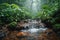 amazon rainforest lush greenery