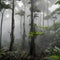 Amazon rainforest in a raining and mist day AI-generative