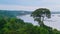 Amazon rainforest, Yasuni National Park, Ecuador. Next to the Napo River.