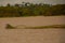 Amazon river, Amazonas, Brazil: Beautiful landscape overlooking the river and bushes and jungle