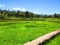 Amazon River, Country side of Peru.