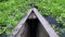 Amazon river - a wooden boat stem moving through water full of greenleaves