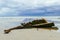 Amazon Shipwreck in Inverloch Australia