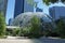 Amazon Spheres Glass Office Buildings in Seattle During the Day
