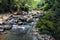 Amazon tropical rainforest in Napo province