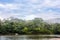 Amazonian rainforest. Misahualli River. Ecuador