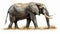 Amazons Harmony: Majestic Elephant in the Wild AI Generated
