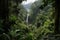 amazons jungle, with canopy of trees and vines, dotted by waterfalls