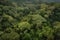 amazons jungle, with the canopy of trees and vines visible from above