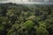 amazons jungle, with the canopy of trees and vines visible from above